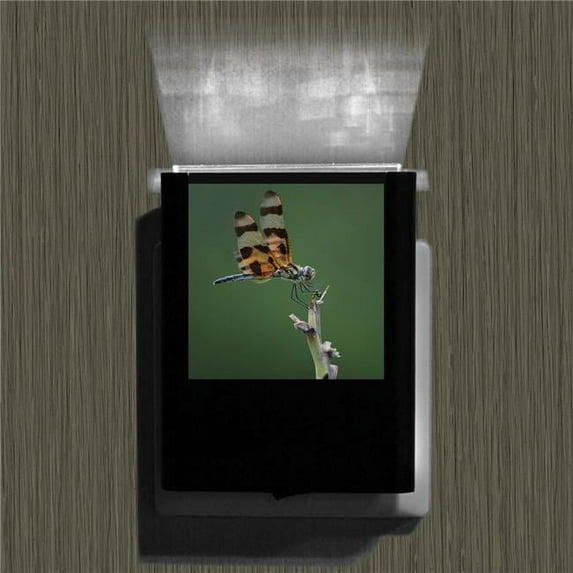 Uniqia UNLC0258 Night Light - Dragonfly 2 Color