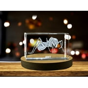 Unique 3D Engraved Crystal with Ant Design - Perfect Gift for Insect Lovers