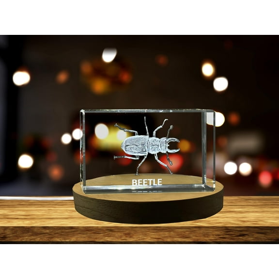 Unique 3D Engraved Crystal with Beetle Design - Perfect Gift for Insect Lovers