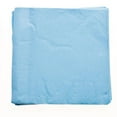 thumbnail image 1 of Unique Baby Blue Party Napkins (Pack of 48), 1 of 1