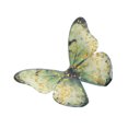 thumbnail image 1 of Unique Bargains 1 Pc Duckbill Butterfly Hair Clips Hairdo Clip for Home Green, 1 of 5