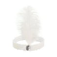 thumbnail image 1 of Unique Bargains 1 Pc Feathers Faux Diamond Headbands for Women White, 1 of 6