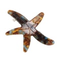 thumbnail image 1 of Unique Bargains 1 Pc Hair Clip Starfish Hair Clips Lake Blue Coffee Color, 1 of 5