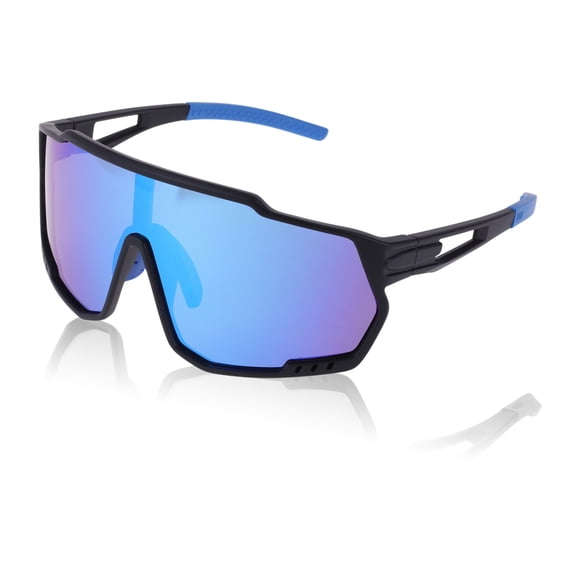 Unique Bargains 1 Pc Motorcycle Riding Goggles Blue Black Tri-Acetyl Cellulos PC UV400