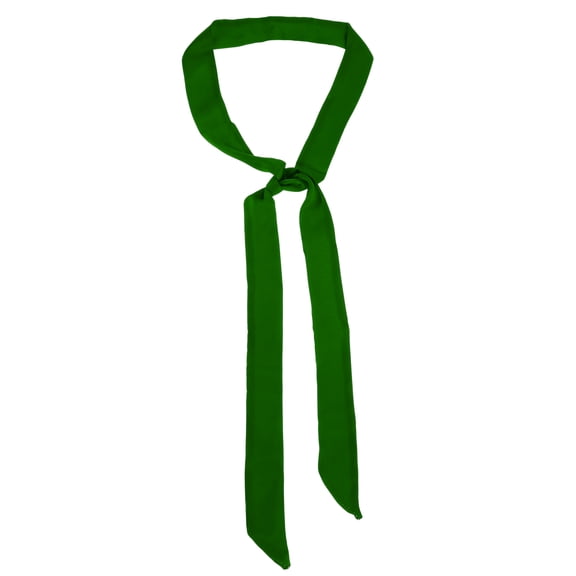 Unique Bargains 1 Pc Scarf Headband Solid Color Neck Scarf for Women Blackish Green