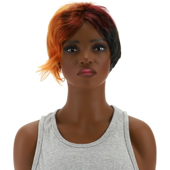 Unique Bargains 1 Pc Small Wave Curly Short Hair Hair Wig High Temperature Fiber 4in Human Wig Brown Black for Women