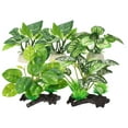 thumbnail image 1 of Unique Bargains 1 Set Aquarium Plastic Plants Driftwood Betta Silk Plants Silk Aquarium Plants for Betta Fish Green 5pcs, 1 of 6