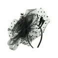 thumbnail image 1 of Unique Bargains 1 Set Headband Feathers Hair Accessories for Women Black, 1 of 5