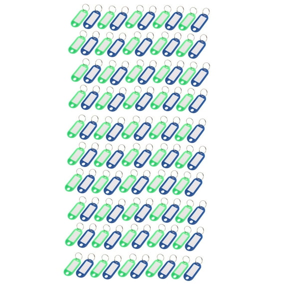 Unique Bargains 100pcs Blue Green Plastic Luggage ID Label Name Tag Badge Clip Holder Keyring