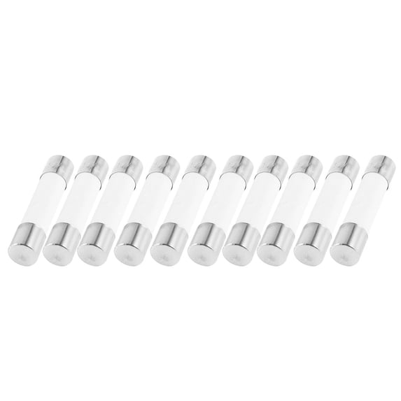 Unique Bargains 10Pcs 6x30mm Quick Fast Blow Ceramic Fuses 250 Volts 10Amp