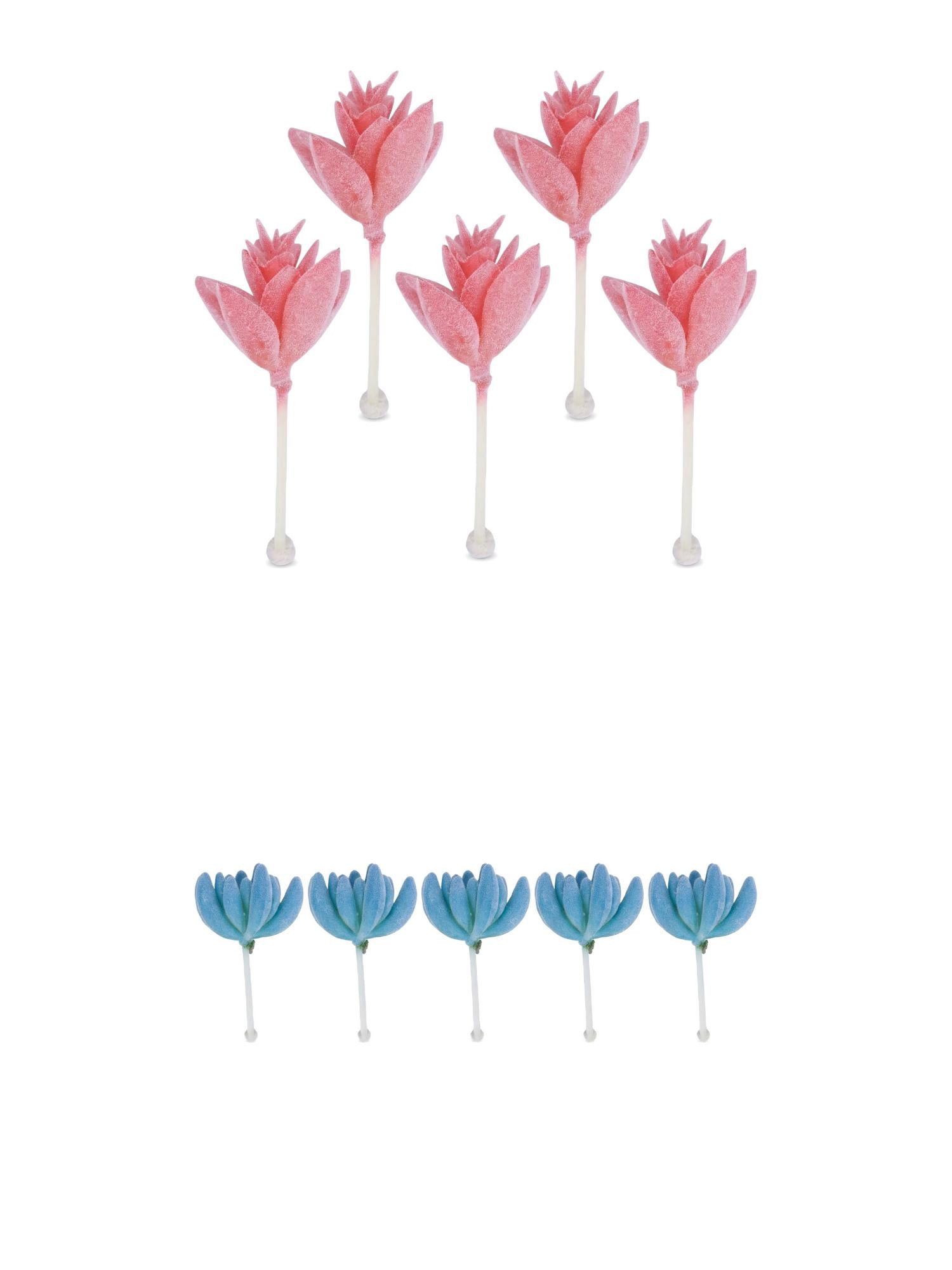 Unique Bargains 10Pcs Artificial Succulents 3.5" Buddha's Hand Blue Lotus Deep Pink
