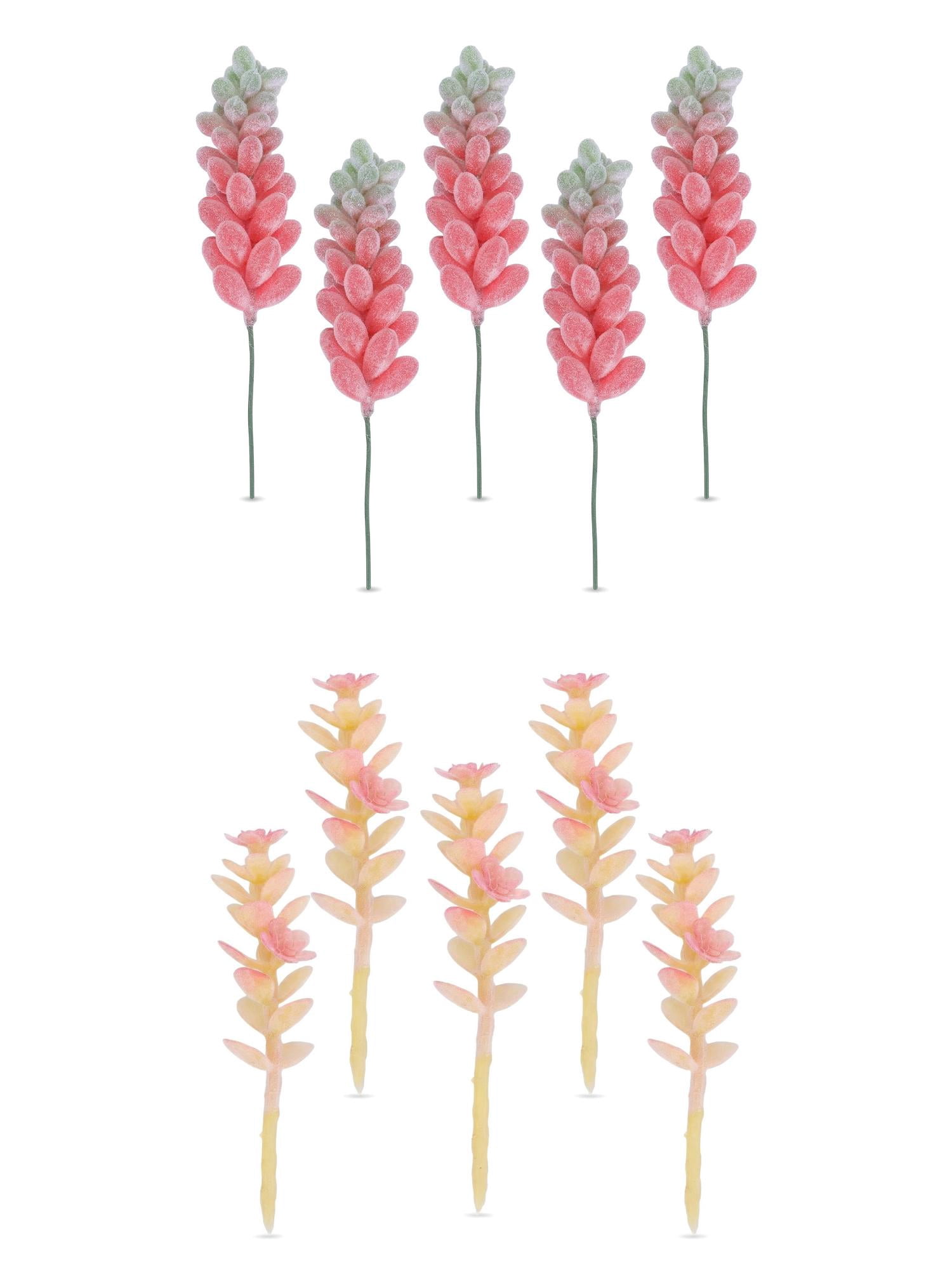 Unique Bargains 10Pcs Artificial Succulents 3.5" Money Leaf Beige Deep Pink Wheat Ears