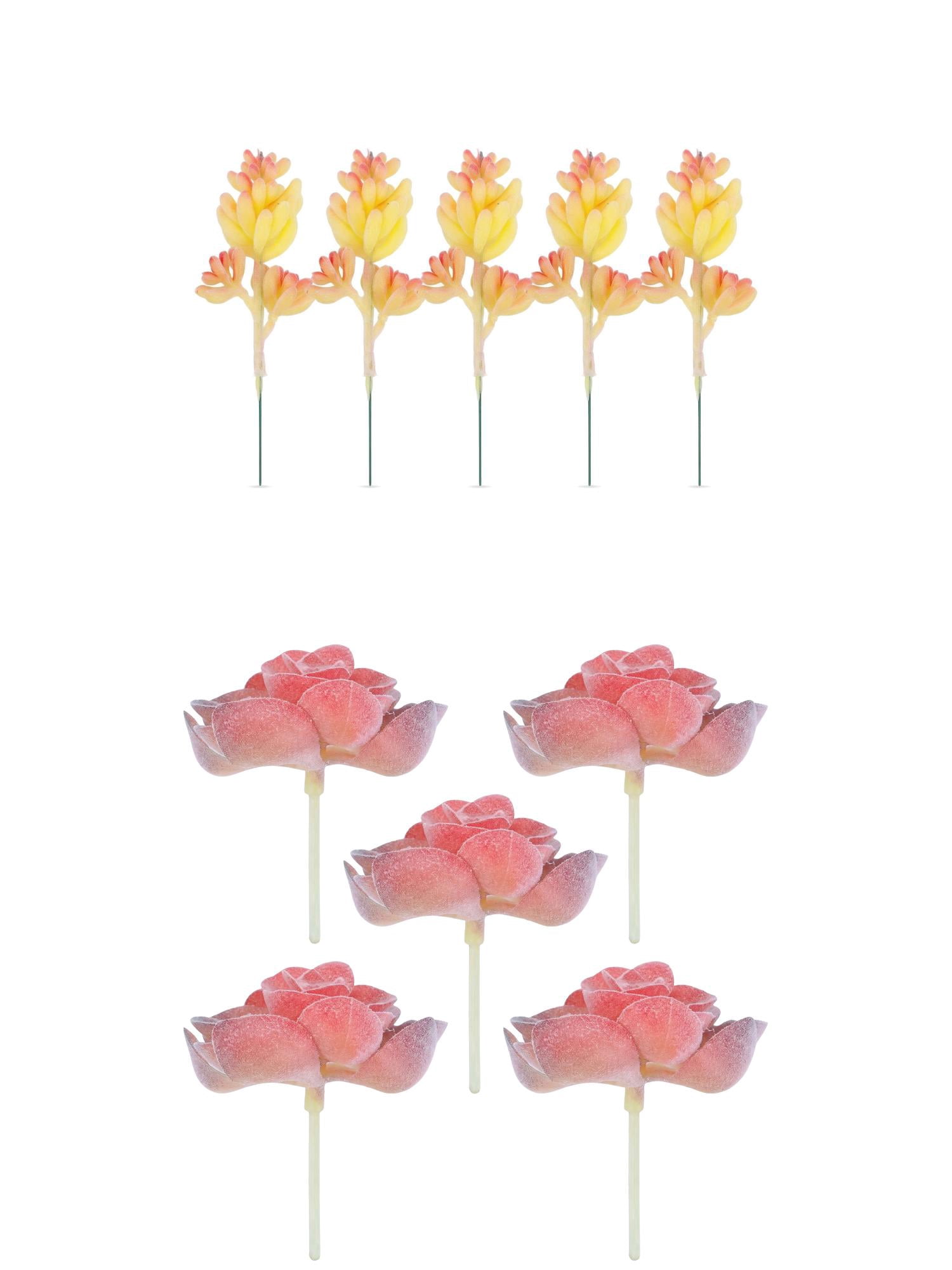 Unique Bargains 10Pcs Artificial Succulents Money Leaf 3.5" Cactus Beige Lotus Pink