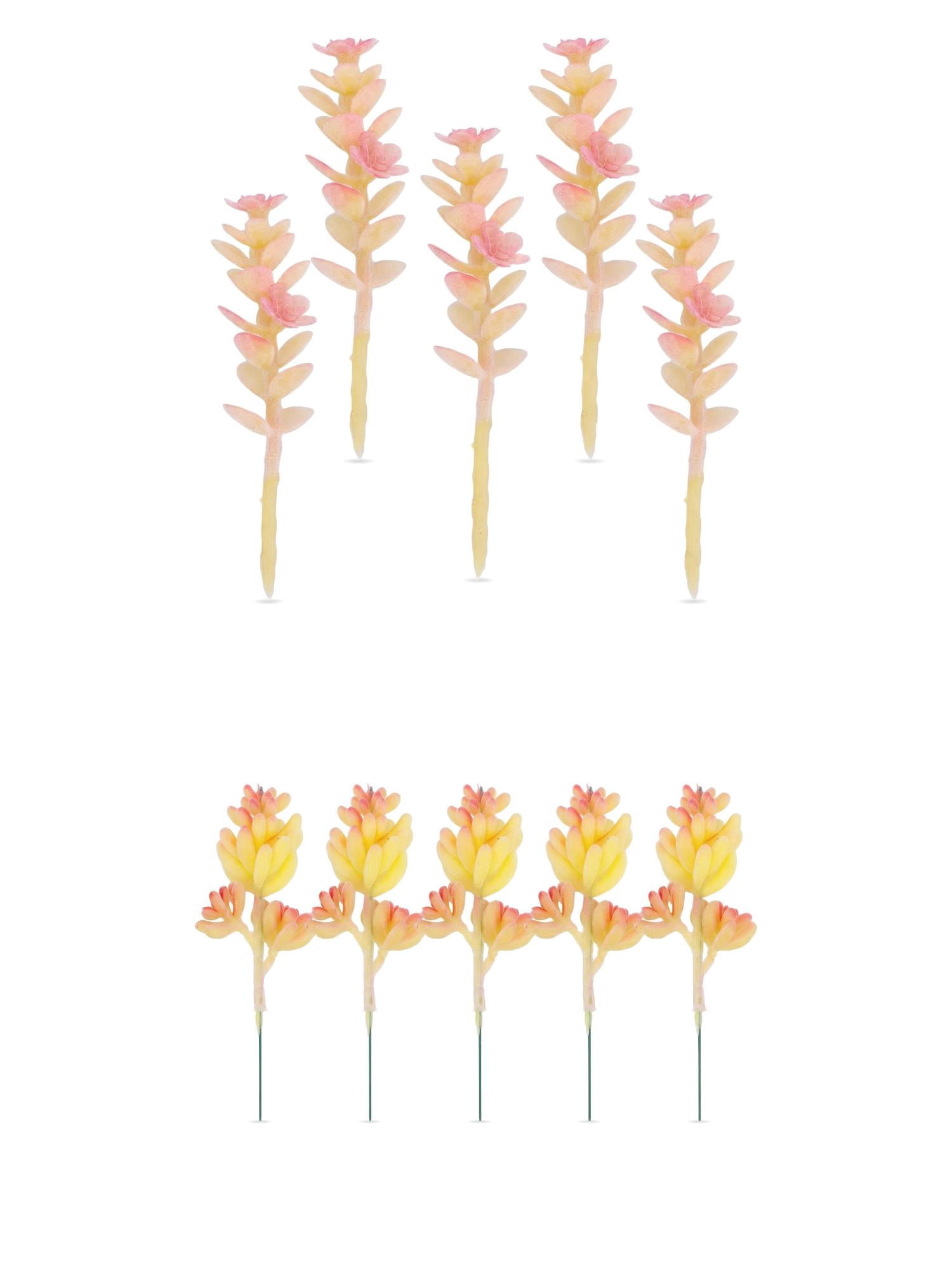 Unique Bargains 10Pcs Artificial Succulents Money Leaf Beige Cactus Beige 3.5"