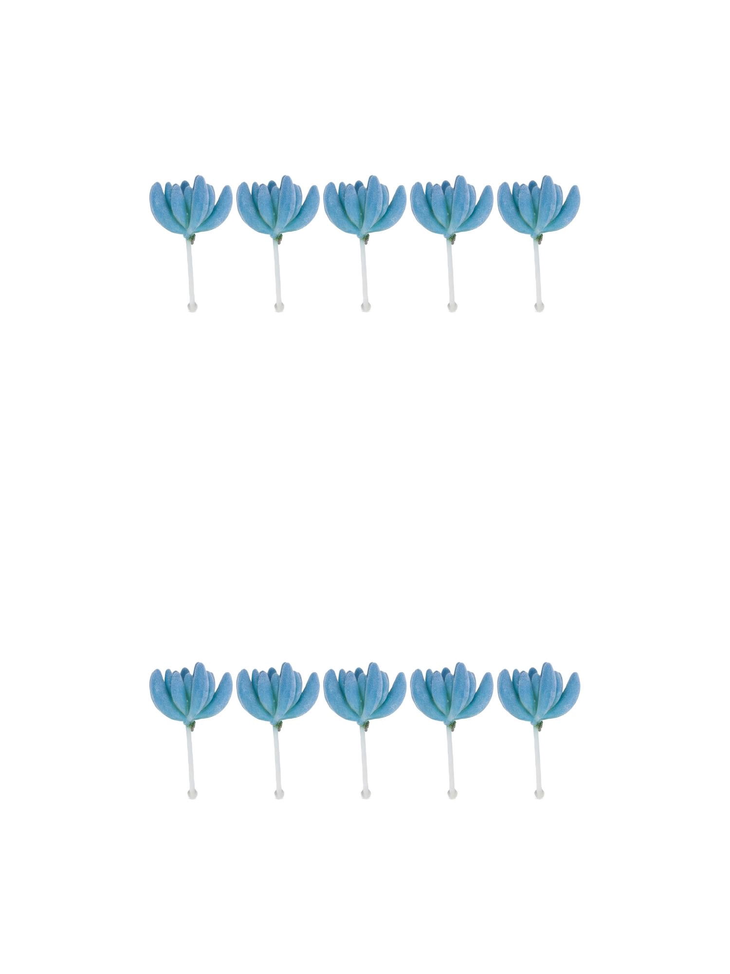 Unique Bargains 10Pcs Flocked Artificial Succulents Buddha's Hand 3.5" Buddha's Hand Blue