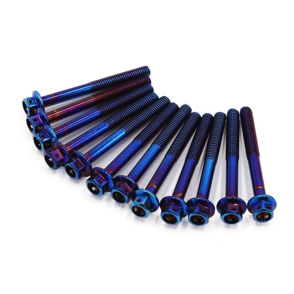 Unique Bargains 12Pcs Colorful Titanium Alloy Motorcycle Hexagon Bolts Screws Fastener M6 x 55mm