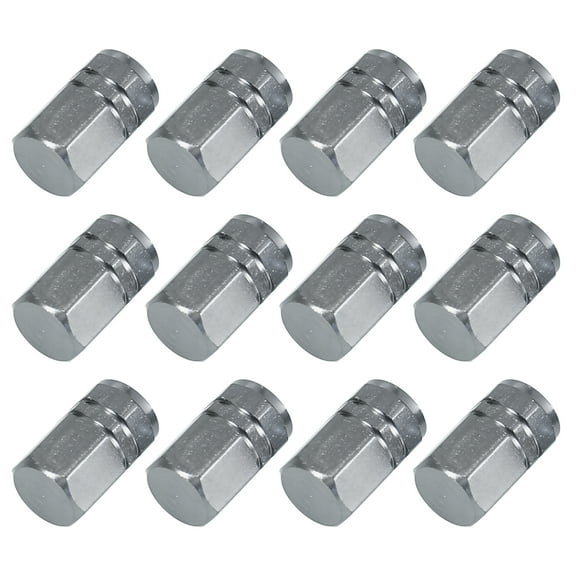 Unique Bargains 12pcs Gray Universal Hexagon Car Tire Valve Dust Caps Stem Dust Covers 7mm
