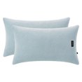 thumbnail image 1 of Unique Bargains 2 Pack Fabric Pillowcase Envelope Closure Wrinkle Resistant Queen Blue A, 1 of 5