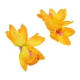 thumbnail image 1 of Unique Bargains 2 Pcs Hair Clip Grace Simulation Phalaenopsis Double Flowers Duckbill Clip Yellow, 1 of 5