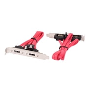 Unique Bargains 2Pcs Dual Port S-A-T-A Serial ATA Cable to eS-A-T-A Bracket Adapter Cable