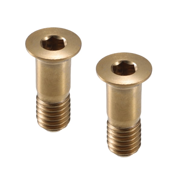 Unique Bargains 2pcs M5x14.2mm Universal Bicycle Bike Rear Derailleur Wheel Bolts Screw Gold Tone