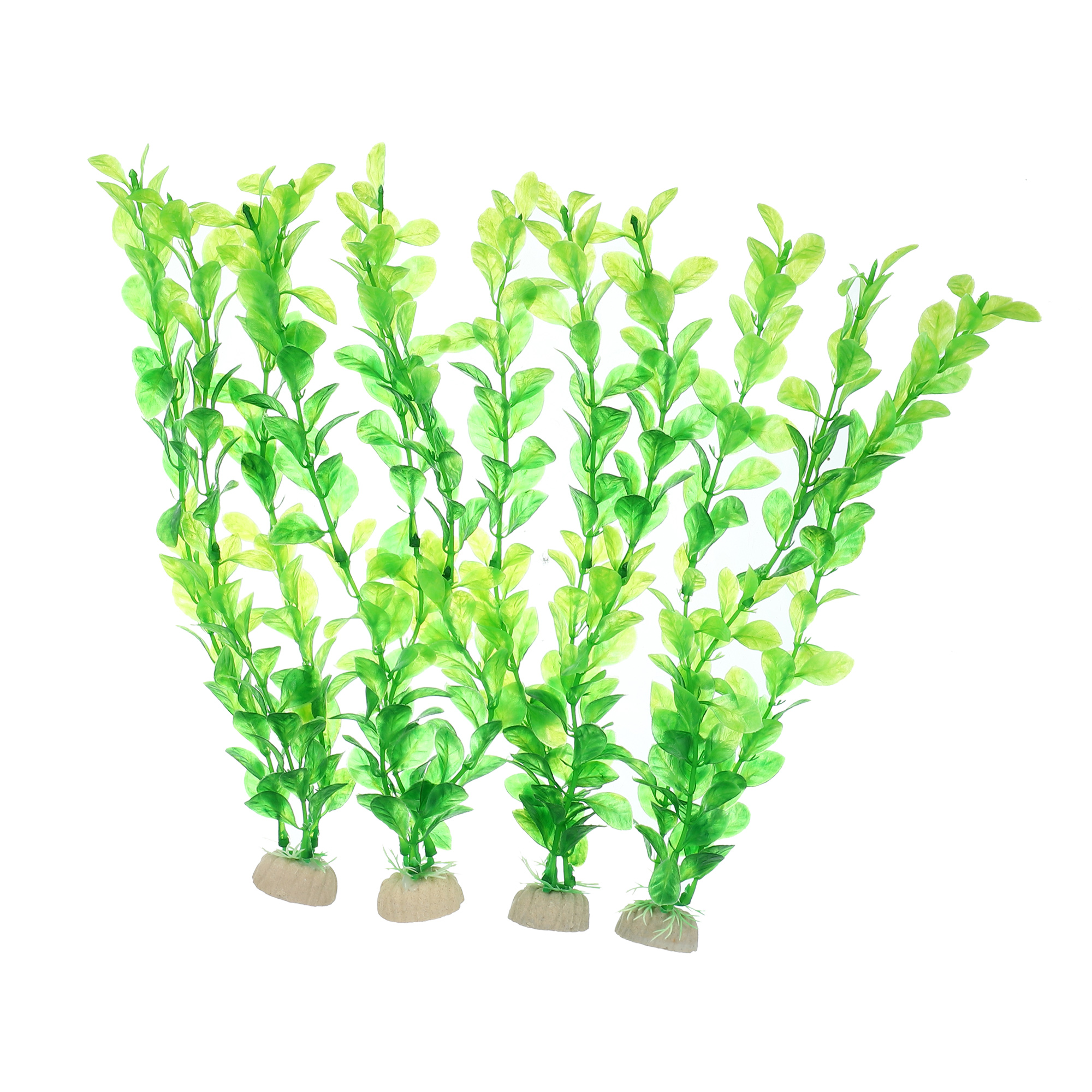 Easy Live Aquarium Plants Package 4 Kinds Anacharis, Amazon and more!