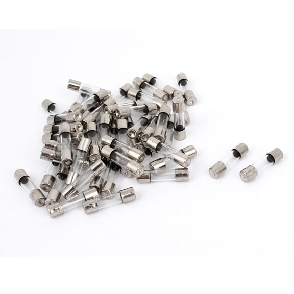 Unique Bargains 50 Pcs F1AL250V 5mmx20mm AV 250V 1A Fast Blow Glass Tube Fuses Clear Silver Tone