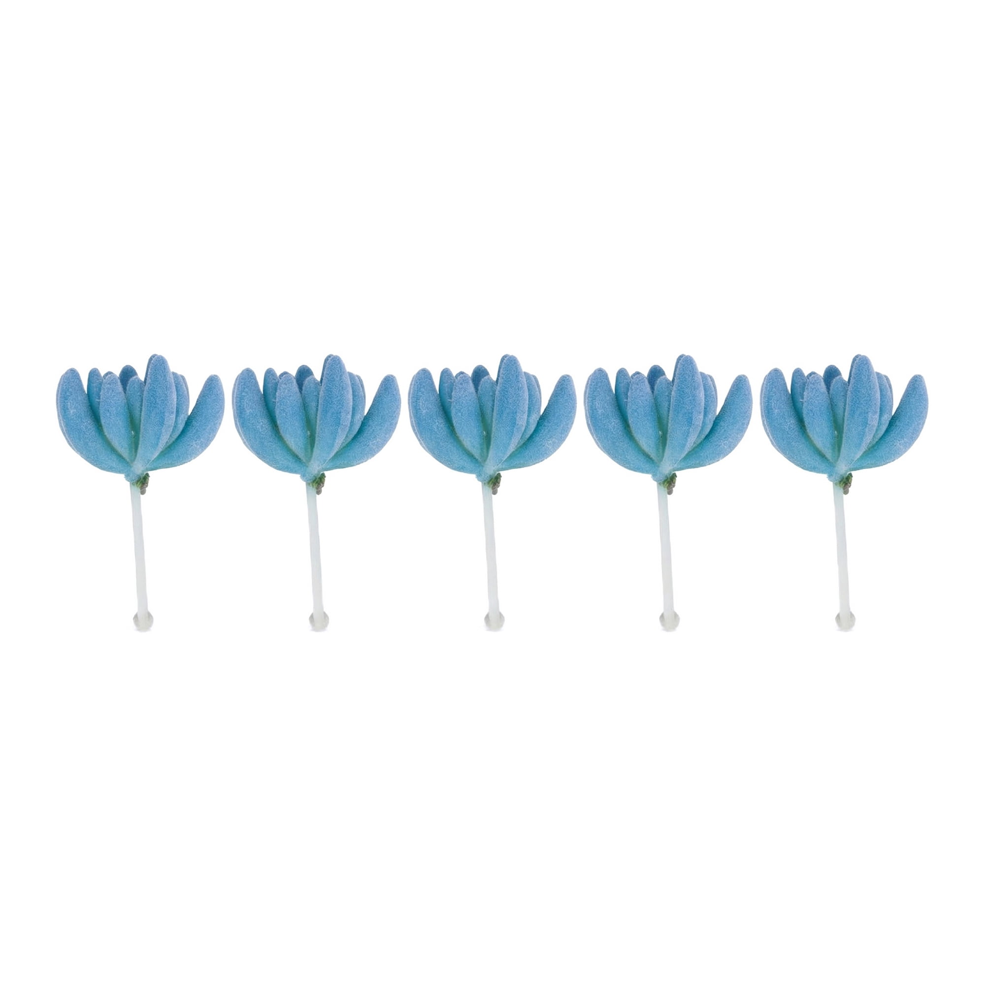 Unique Bargains 5pcs Flocked Artificial Succulents Buddha's Hand Blue 9.0"