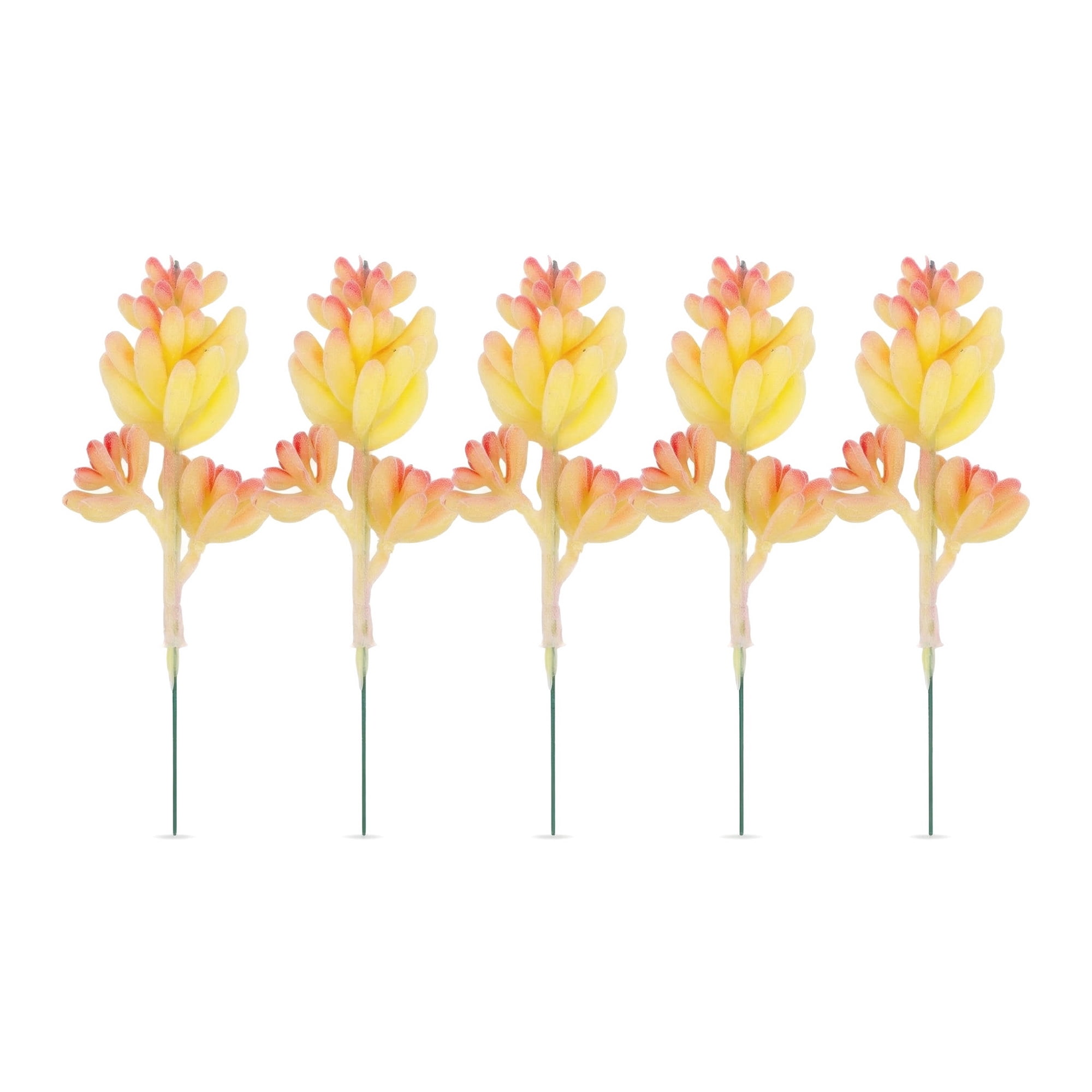 Unique Bargains 5pcs Flocked Artificial Succulents Cactus Beige 9.0"