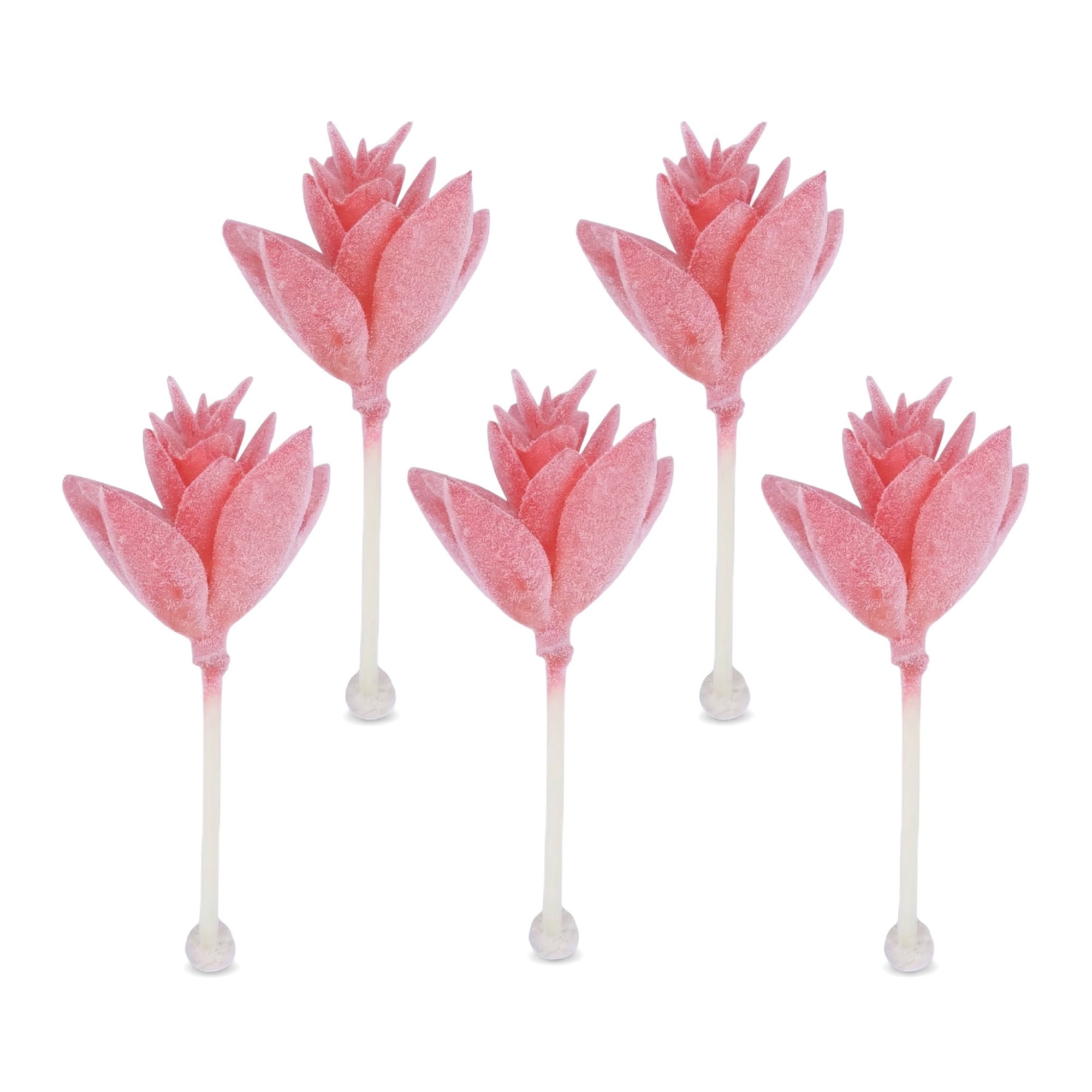 Unique Bargains 5pcs Flocked Artificial Succulents Lotus Deep Pink 9.0"