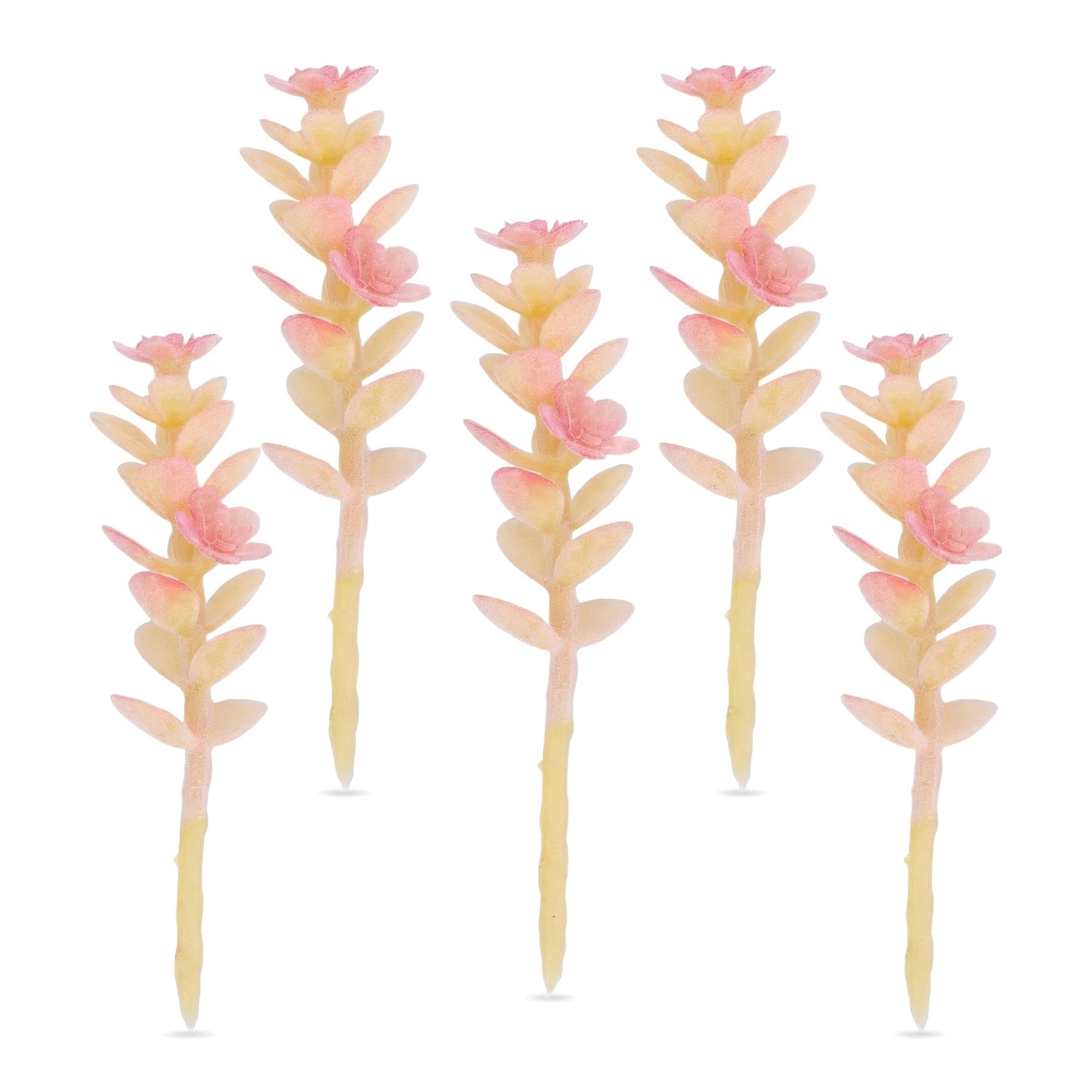 Unique Bargains 5pcs Flocked Artificial Succulents Money Leaf Beige 9.0"