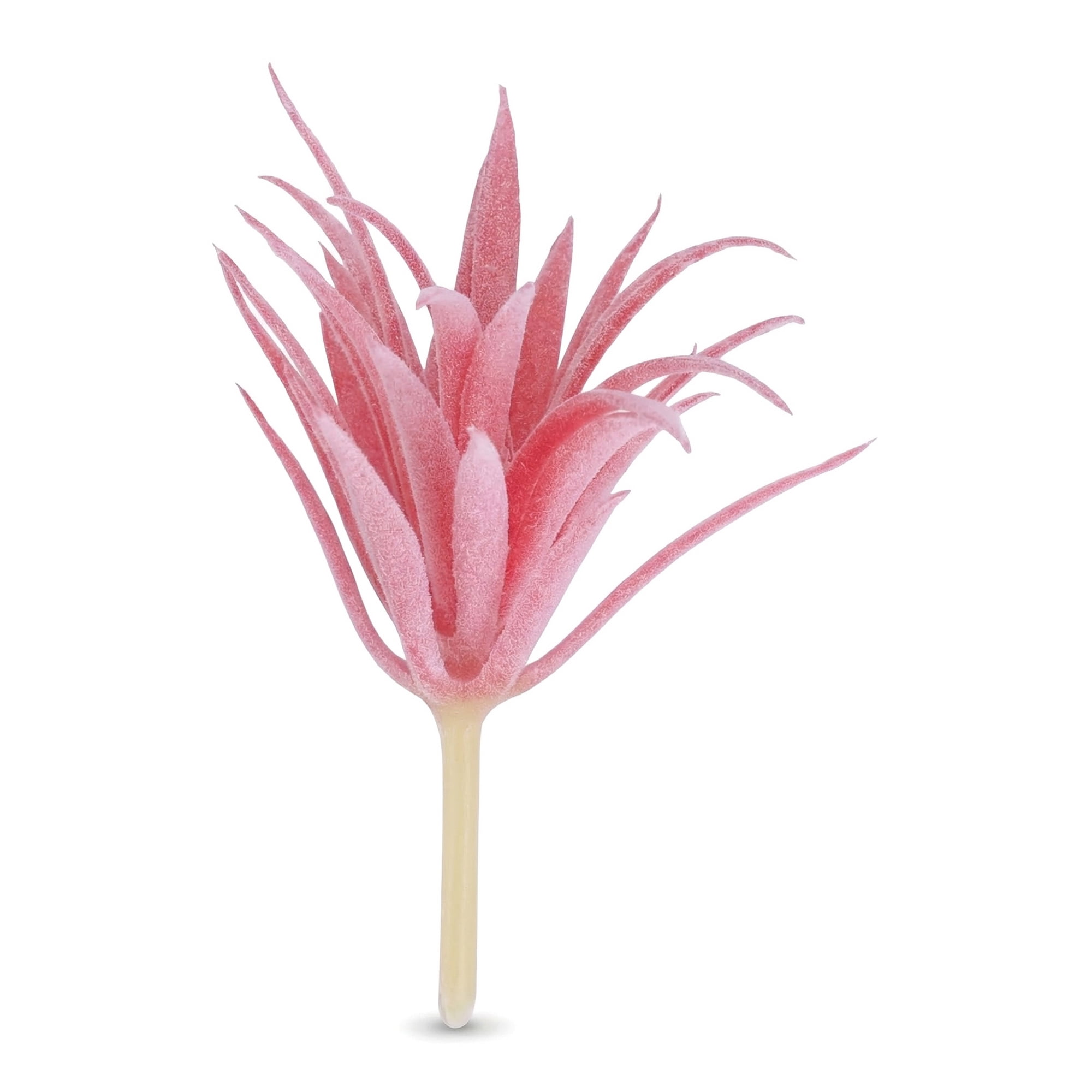 Unique Bargains 5pcs Flocked Artificial Sword Grass Deep Pink 9.5"