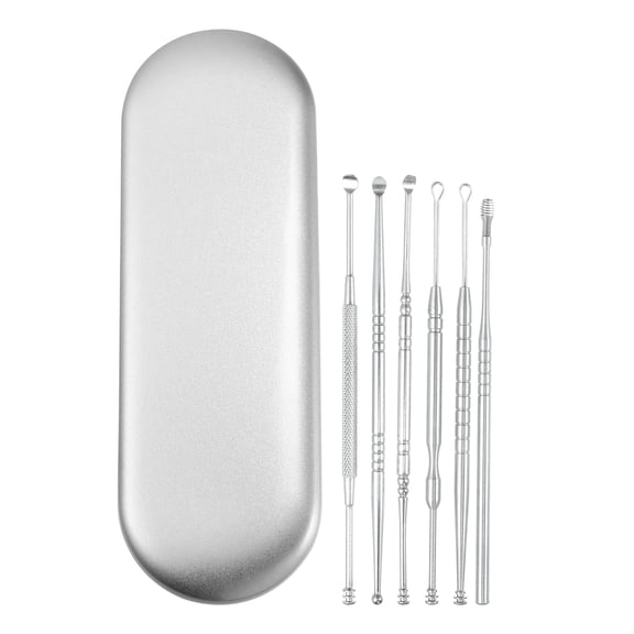 Unique Bargains 6 Pcs Stainless Steel Ear Cleansing Tool Set with Storage Case Silver Tone