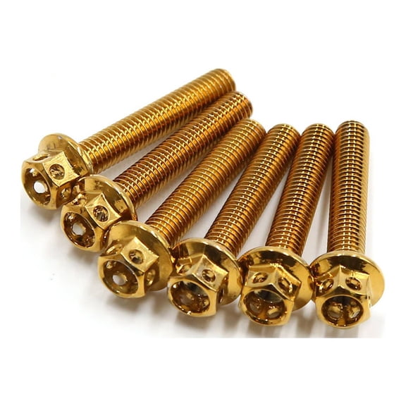 Unique Bargains 6Pcs Gold Tone Titanium Alloy Motorcycle Bolts Screws Fastener M6 x 35mm