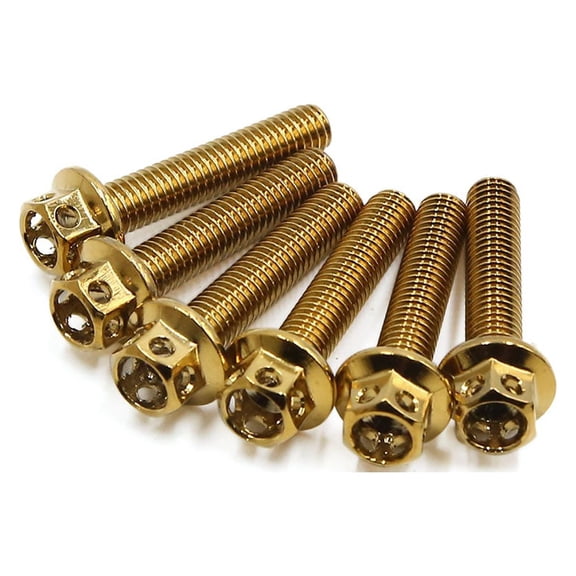 Unique Bargains 6pcs Gold Tone M6 x 30mm Motorcycle Titanium Alloy Hexagon Bolts Clips Screws