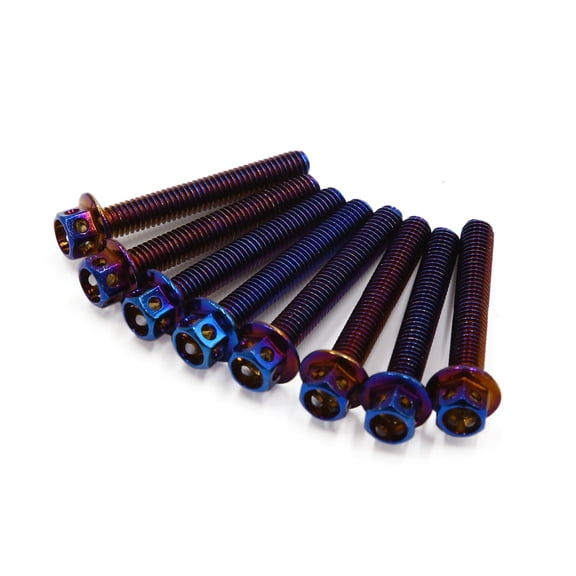 Unique Bargains 8Pcs Colorful Titanium Alloy Motorcycle Hexagon Bolts Screws Fastener M6 x 40mm