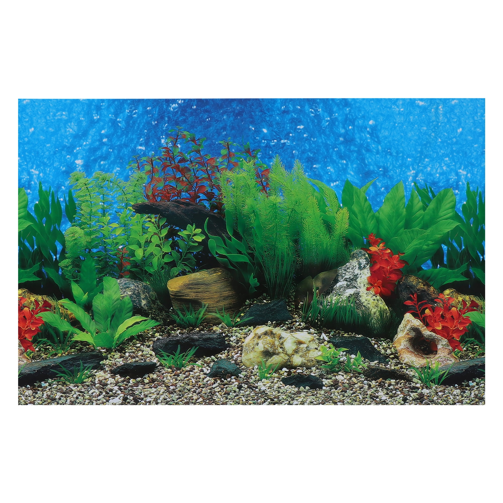 30 40 50 60cm High Blue/ Black Aquarium Background Poster 2 Sided Glossy  Fish Tank Decorative IMAGE Wall Backdrop Decor - Price history & Review, AliExpress Seller - Terra Store
