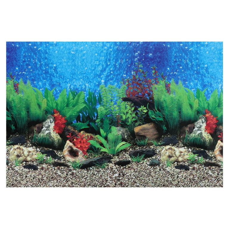 Aquarium backgrounds for sale cheap