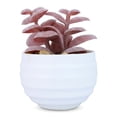 thumbnail image 1 of Unique Bargains Artificial Succulent Small Faux Greenery Jade Leaf Bright Pink 3.14in, 1 of 5