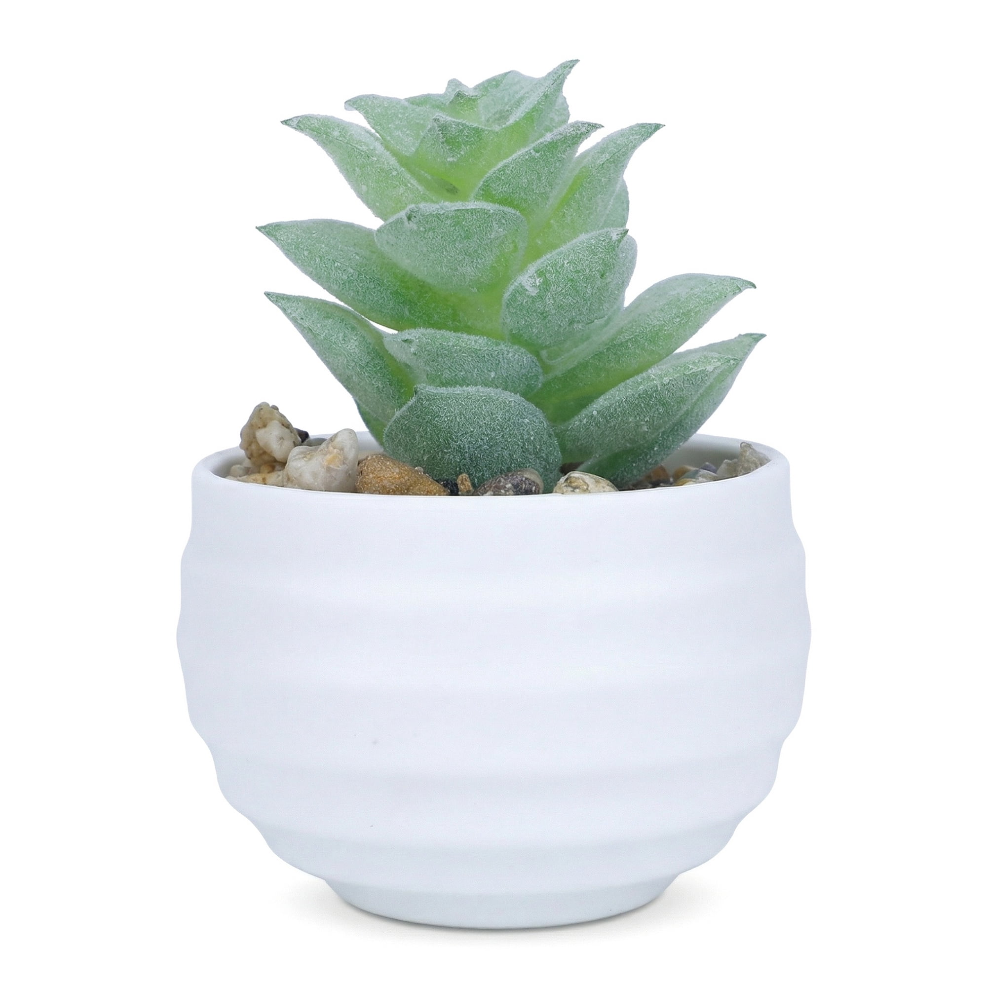 Unique Bargains Artificial Succulents Pots Faux Plants 3.14" Flocked Mint Green Rose