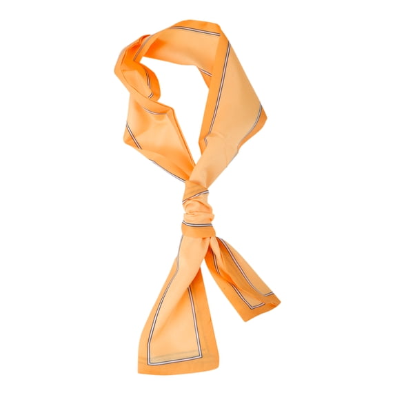 Unique Bargains Borders Pattern Headband 1 Pc Orange