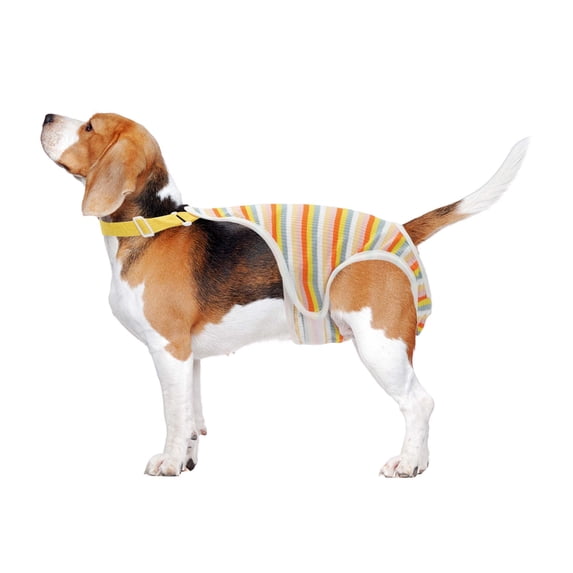 Unique Bargains Dog Diapers for Dogs Washable Reusable Pants Yellow XL
