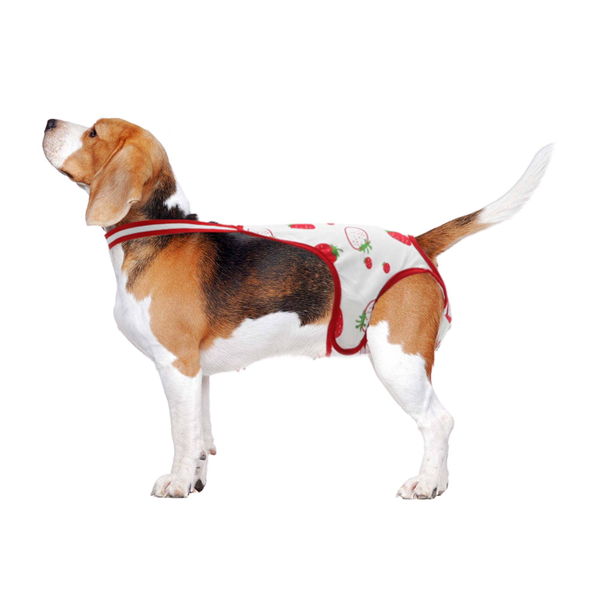 Unique Bargains Dog Diapers for Female Dogs Washable Reusable Panties Red White S