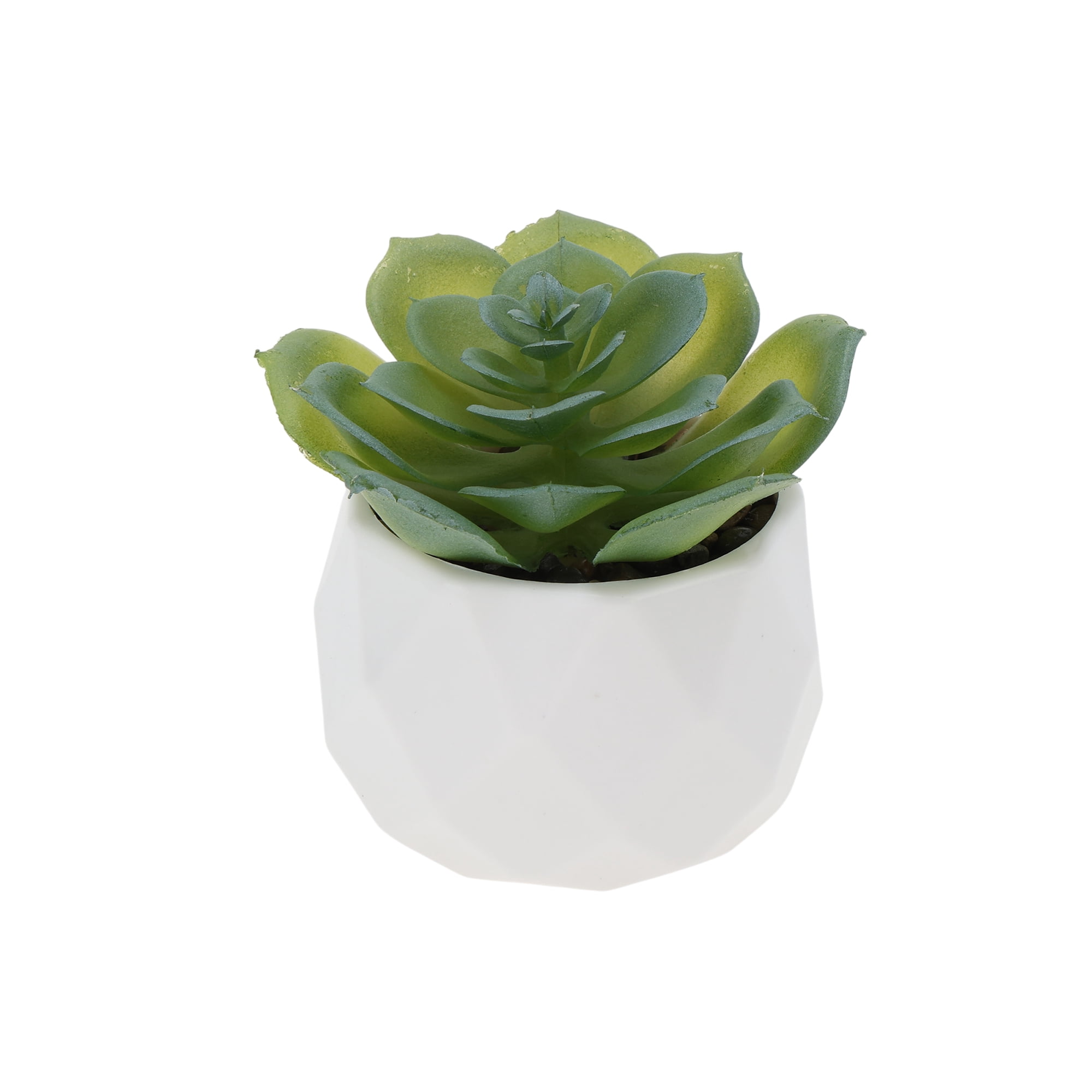 Unique Bargains Fake Succulent Plant Office Desk Decor Accessories Plant Type 6