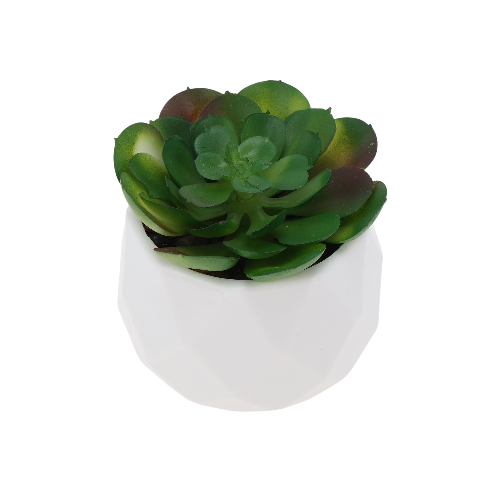 Unique Bargains Fake Succulent Plant Office Desk Decor Accessories Plant Type 7