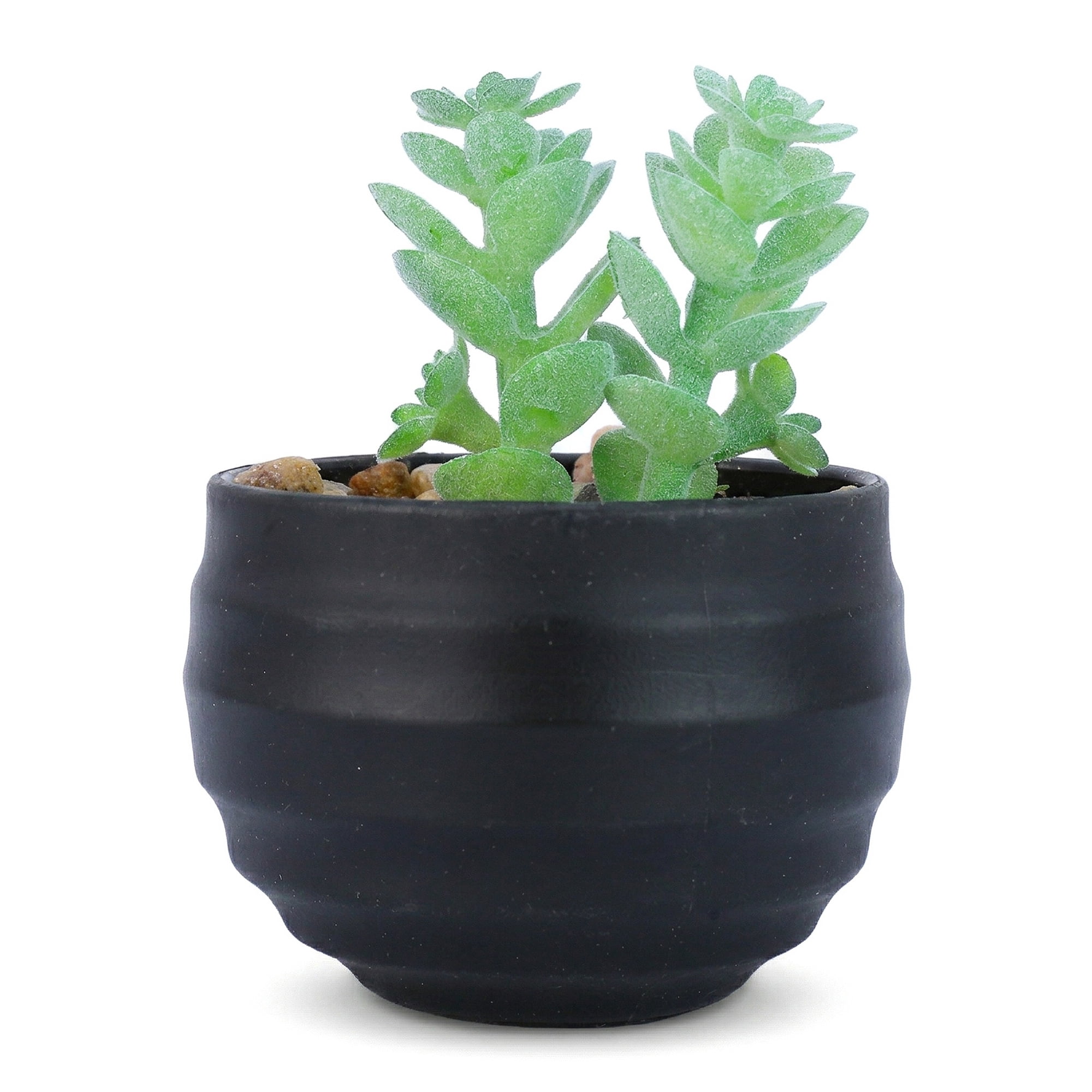 Unique Bargains Gothic Artificial Succulent Faux Greenery Jade Stem Light Green） 3.14in