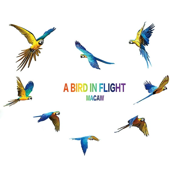 Unique Bargains Home Parrot Pattern Self-adhesive Wall Sticker Film Decal Colorful 60 x 45cm