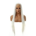 thumbnail image 1 of Unique Bargains Lace Front Wigs Long Straight Hair White, 1 of 8