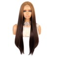 thumbnail image 1 of Unique Bargains Lace Front Wigs for Women 26" Brown Gradient Long Straight Hair with Wig Cap, 1 of 6