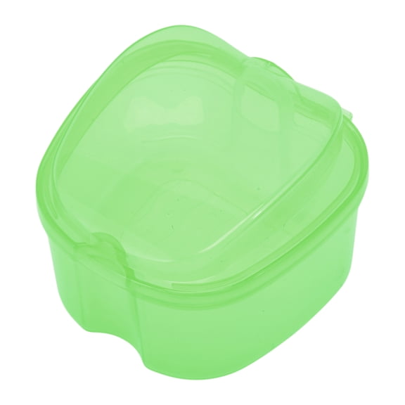 Unique Bargains Portable Braces Box with Strainer 1 Pc Clear, Green